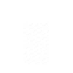 犀牛盾SolidX手機殼 - Google Pixel 10 Pro XL - 【聯名設計款】 - JOCR - Raw White Pattern Small