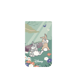 iPhone Air Clear (相機按鈕)  Disney - Classics 迪士尼經典電影 小鹿斑比 - 桑普與邦妮