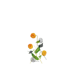 Pixel 11 SolidX  Plantica 回響 – 麴色