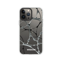 犀牛盾Clear Case防摔背蓋手機殼 - iPhone 13 Pro Max - 【聯名設計款】 - WISDOM - SILK