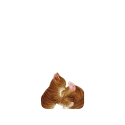 Pixel 11 Pro XL SolidX  Nyangsongi 擁抱