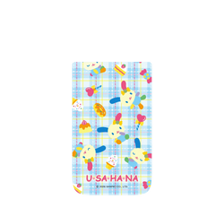iPhone Air SolidX  花小兔 野餐日