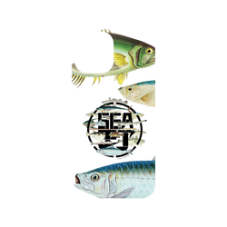 iPhone 12 / 12 Pro Clear Case (MagSafe 兼容)  KID 魚群海釣