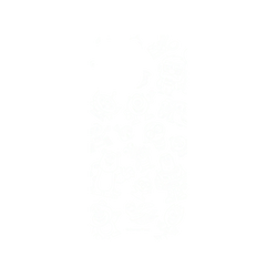 犀牛盾Mod NX (MagSafe 兼容)手機殼 - iPhone 15 Pro Max - 迪士尼-皮克斯 PIXAR - 皮克斯系列 - 角色線條風格