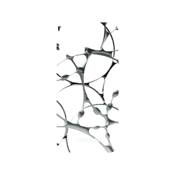 犀牛盾Mod NX (MagSafe 兼容)手機殼 - iPhone 16 Plus - WISDOM - SILK