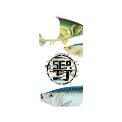 iPhone 16 Plus Clear Case（相機按鈕）  KID 魚群海釣