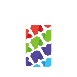 犀牛盾SolidX手機殼 - Google Pixel 11 - 【聯名設計款】 - JOCR - Raw Rainbow Pattern Big