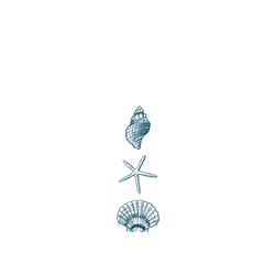 Pixel 11 Pro SolidX  MYMY REVERZ TATTOO 貝殼