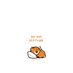 Pixel 11 Pro XL SolidX  小勞撫 請勿打擾