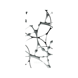 犀牛盾Mod NX (MagSafe 兼容)手機殼 - iPhone 15 Pro Max - WISDOM - SILK