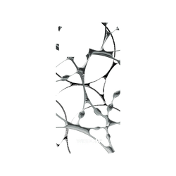 犀牛盾NX系列背板 - iPhone 13 Pro Max - 【聯名設計款】 - WISDOM - SILK