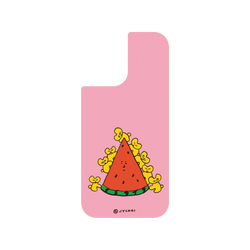 iPhone 17 SolidX  Jin Young Choi 爬西瓜山