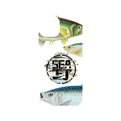 iPhone 13 Clear Case (MagSafe 兼容)  KID 魚群海釣