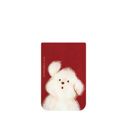 iPhone 17 Pro Max SolidX  YEYE 呼喚