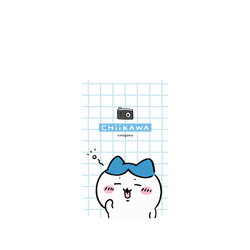 Pixel 10 Pro SolidX (MagSafe 兼容)  吉伊卡哇Chiikawa 呀！我是小八貓Hachiware