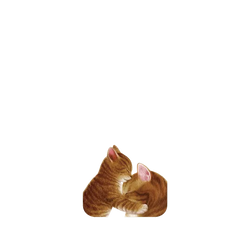 Pixel 11 SolidX  Nyangsongi 擁抱