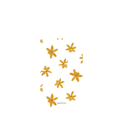 Pixel 11 Pro XL SolidX (MagSafe 兼容)  Plantica 花瓣 – 石斛蘭〈夢之歌〉
