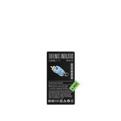 犀牛盾Clear Case防摔背蓋手機殼 - Samsung Galaxy S24 FE - 【獨家設計款】 - 醬料瓶蘇眉魚
