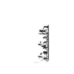 Pixel 11 Pro SolidX 怪奇物語 森林搜索