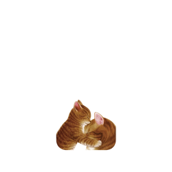 Pixel 10 Pro SolidX  Nyangsongi 擁抱