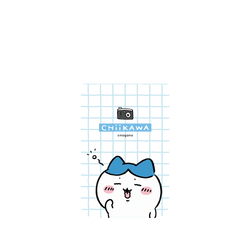 iPhone 17 Pro Max SolidX  吉伊卡哇Chiikawa 呀！我是小八貓Hachiware