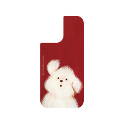 iPhone 17 SolidX  YEYE 呼喚