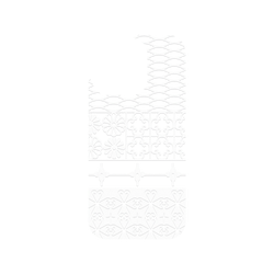 犀牛盾Clear Case（相機按鈕）防摔背蓋手機殼 - iPhone 16 Pro - 【聯名設計款】 - 老屋顏 Old House Face - 透明-昭光