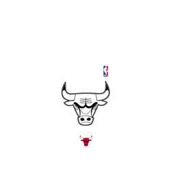 Galaxy S26 Clear Case (MagSafe 兼容)  NBA B&W-芝加哥公牛 Chicago Bulls B&W - Light