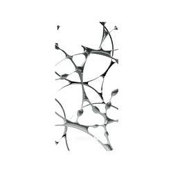 犀牛盾NX系列背板 - iPhone 11 Pro Max - 【聯名設計款】 - WISDOM - SILK