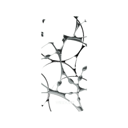 犀牛盾Mod NX手機殼 - iPhone 16 - 【聯名設計款】 - WISDOM - SILK