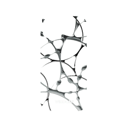 犀牛盾NX系列背板 - iPhone 14 - 【聯名設計款】 - WISDOM - SILK