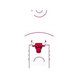 犀牛盾SolidSuit手機殼 - Huawei P30 - 【聯名設計款】 - NBA - 球場系列-芝加哥公牛 Chicago Bulls - Court