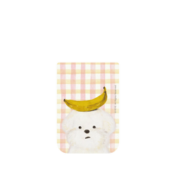 iPhone 17 Pro SolidX  YEYE 蕉黃與純白