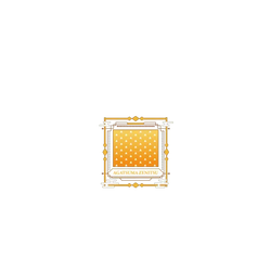 Pixel 11 Pro SolidX (MagSafe 兼容) 鬼滅之刃 配件系列-我妻善逸