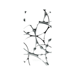 犀牛盾NX系列背板 - iPhone 14 Pro Max - 【聯名設計款】 - WISDOM - SILK