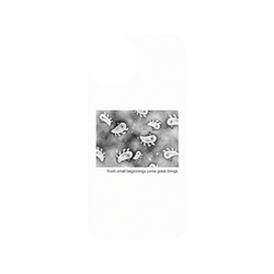 犀牛盾Clear Case防摔背蓋手機殼 - iPhone 15 - 【聯名設計款】 - 怪奇事物所 Incrediville - 所長細胞群_白