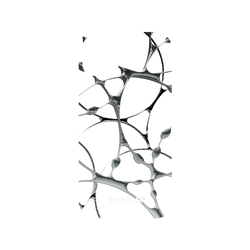 犀牛盾NX系列背板 - iPhone 11 - 【聯名設計款】 - WISDOM - SILK