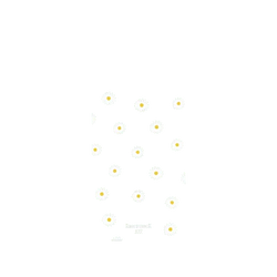 Pixel 11 SolidX (MagSafe 兼容)  Knock Knock A2Z 小小小雛菊