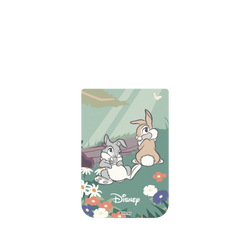 iPhone 17 Pro Clear (相機按鈕)  Disney - Classics 迪士尼經典電影 小鹿斑比 - 桑普與邦妮