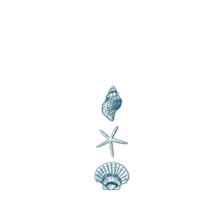 Pixel 11 Pro XL SolidX (MagSafe 兼容)  MYMY REVERZ TATTOO 貝殼