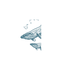 Pixel 8 Pro SolidSuit (MagSafe 兼容)  MYMY REVERZ TATTOO 鯨魚母子