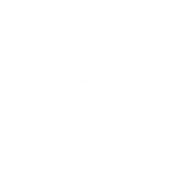 磁吸水壺 AquaStand 不鏽鋼 700cc - 無吸管 【獨家設計】 Pattern Play 花瓣蝴蝶結