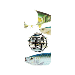 iPhone 16 Clear Case（相機按鈕）  KID 魚群海釣