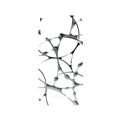 犀牛盾Mod NX手機殼 - iPhone 13 mini - 【聯名設計款】 - WISDOM - SILK