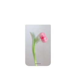 Pixel 11 SolidX (MagSafe 兼容)  Plantica 印象派 – 哈德維希鬱金香