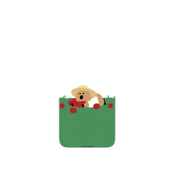 Pixel 11 Pro SolidX DINOTAENG 哎呀！QUOKKA 大豐收