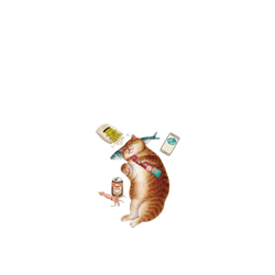 Pixel 11 SolidX  Nyangsongi 完美的放鬆