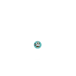 磁吸水壺 AquaStand 不鏽鋼 480cc - 無吸管 BOUNCE WOO