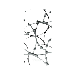 犀牛盾Mod NX手機殼 - iPhone 11 Pro - 【聯名設計款】 - WISDOM - SILK