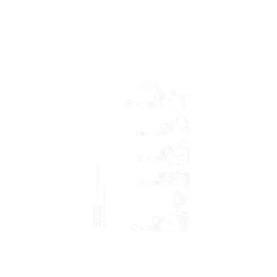 iPhone 12 mini Mod NX (MagSafe 兼容)  One Piece 海賊團系列-阿拉巴斯坦篇一行人 線稿